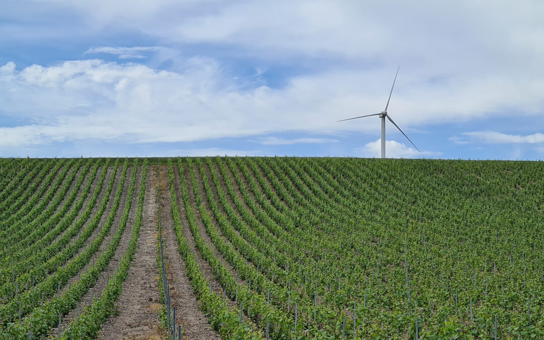 Des actions concrètes et engagées pour protéger les paysages