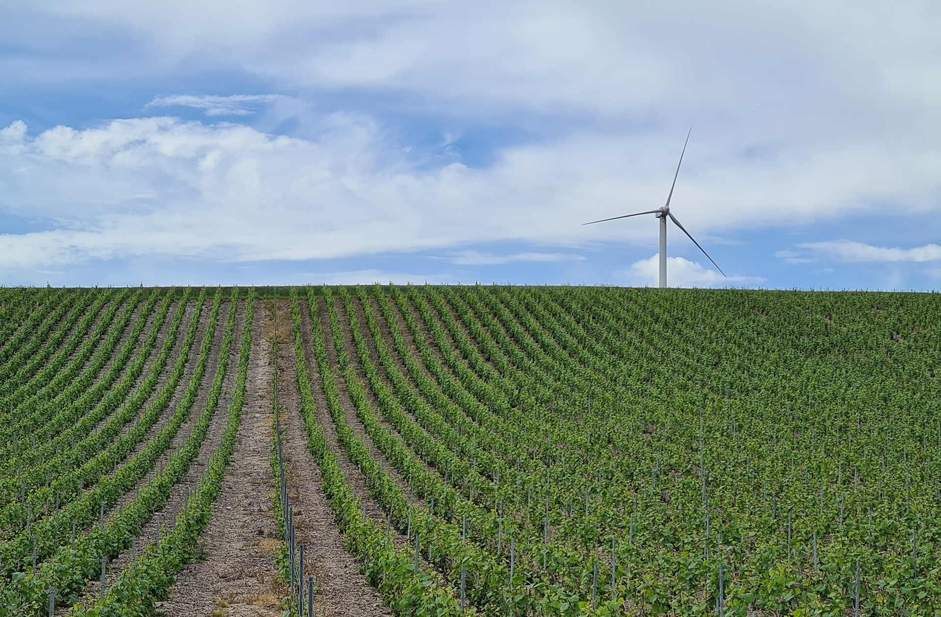 Des actions concrètes et engagées pour protéger les paysages