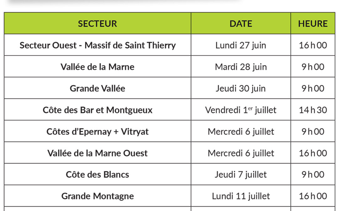 Assemblées régionales d’été du SGV