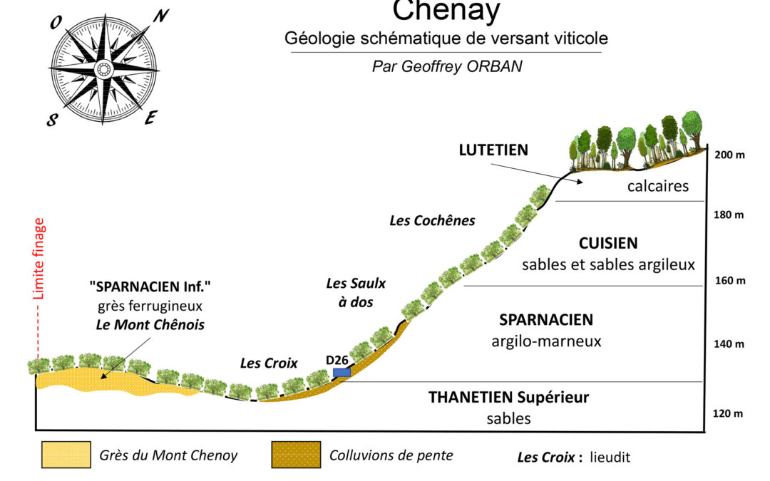 Chenay, un vignoble perché pour une fraîcheur pointue