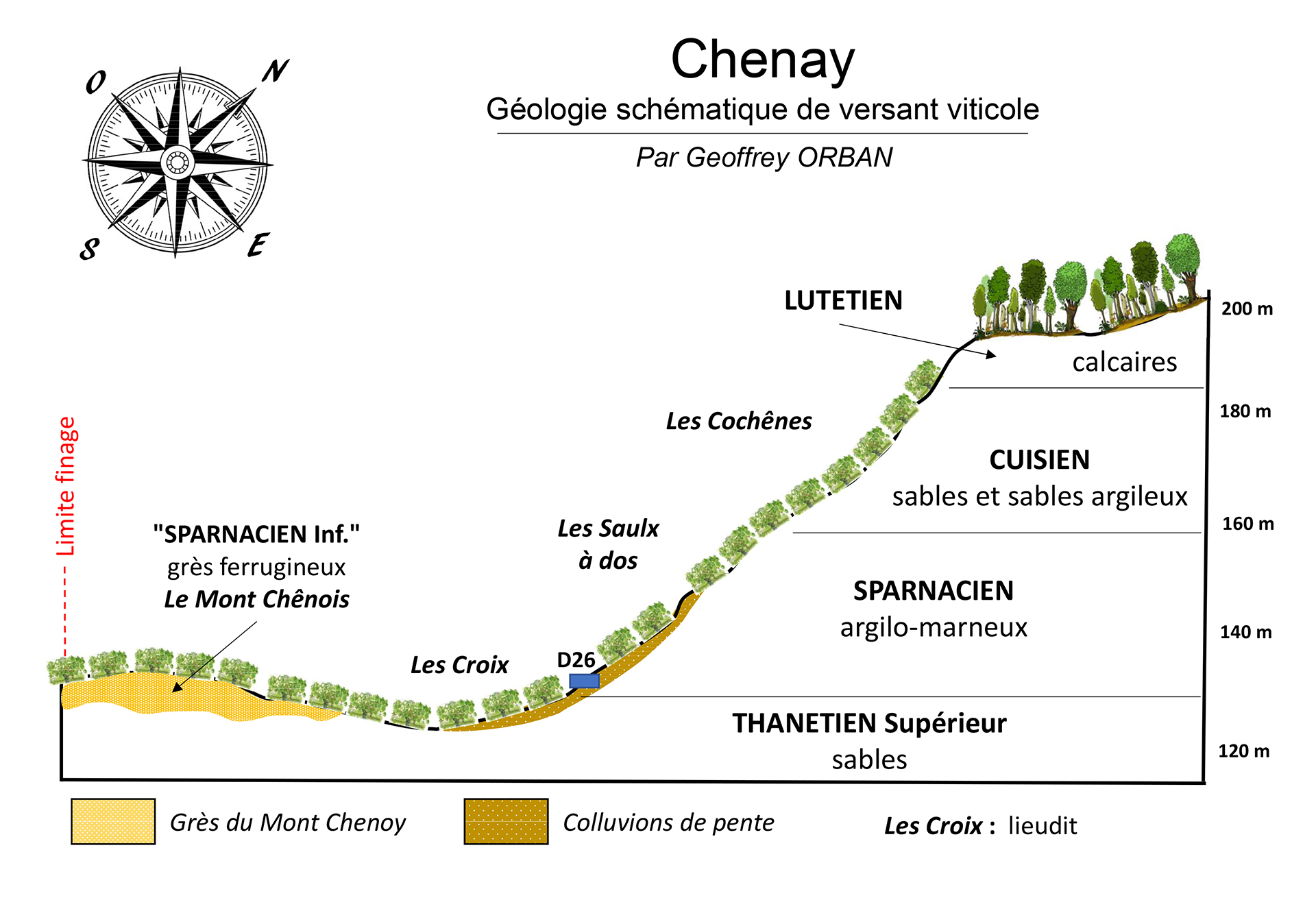 Chenay, un vignoble perché pour une fraîcheur pointue