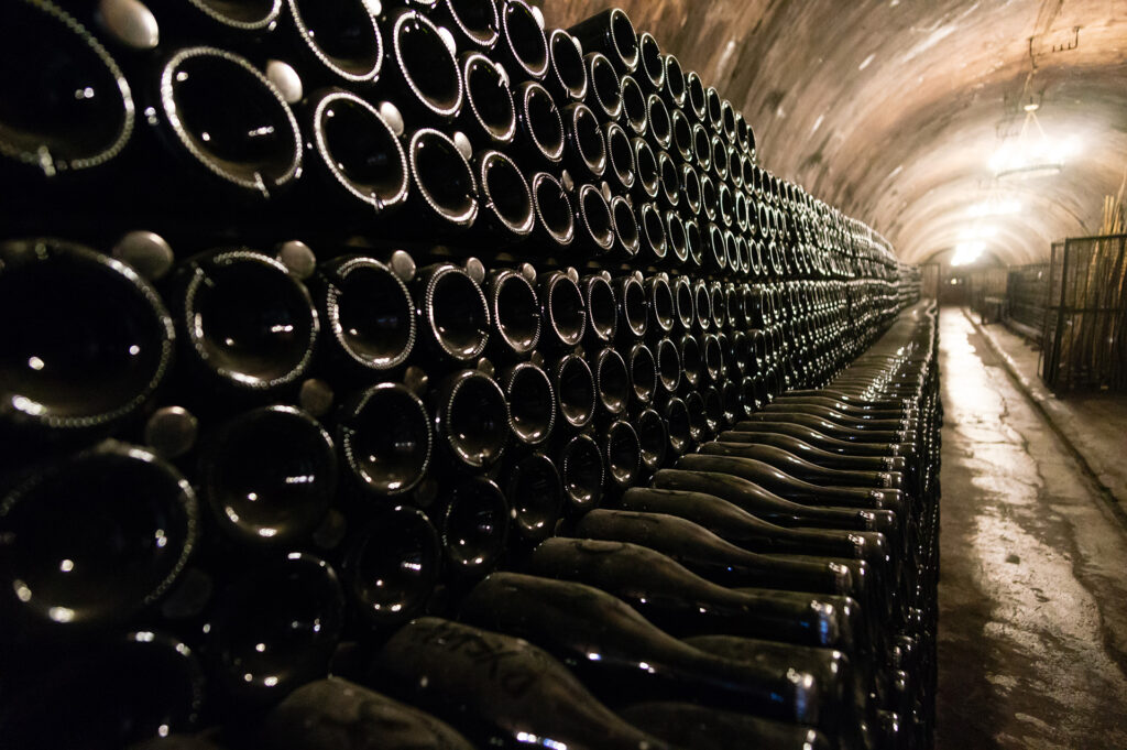 Dégustation de vins clairs 2014