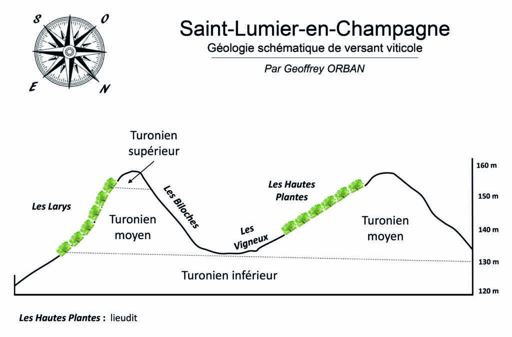 Saint-Lumier-en-Champagne, cru béni de la Via Francigena