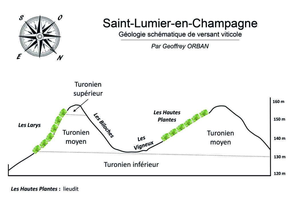 Saint-Lumier-en-Champagne, cru béni de la Via Francigena