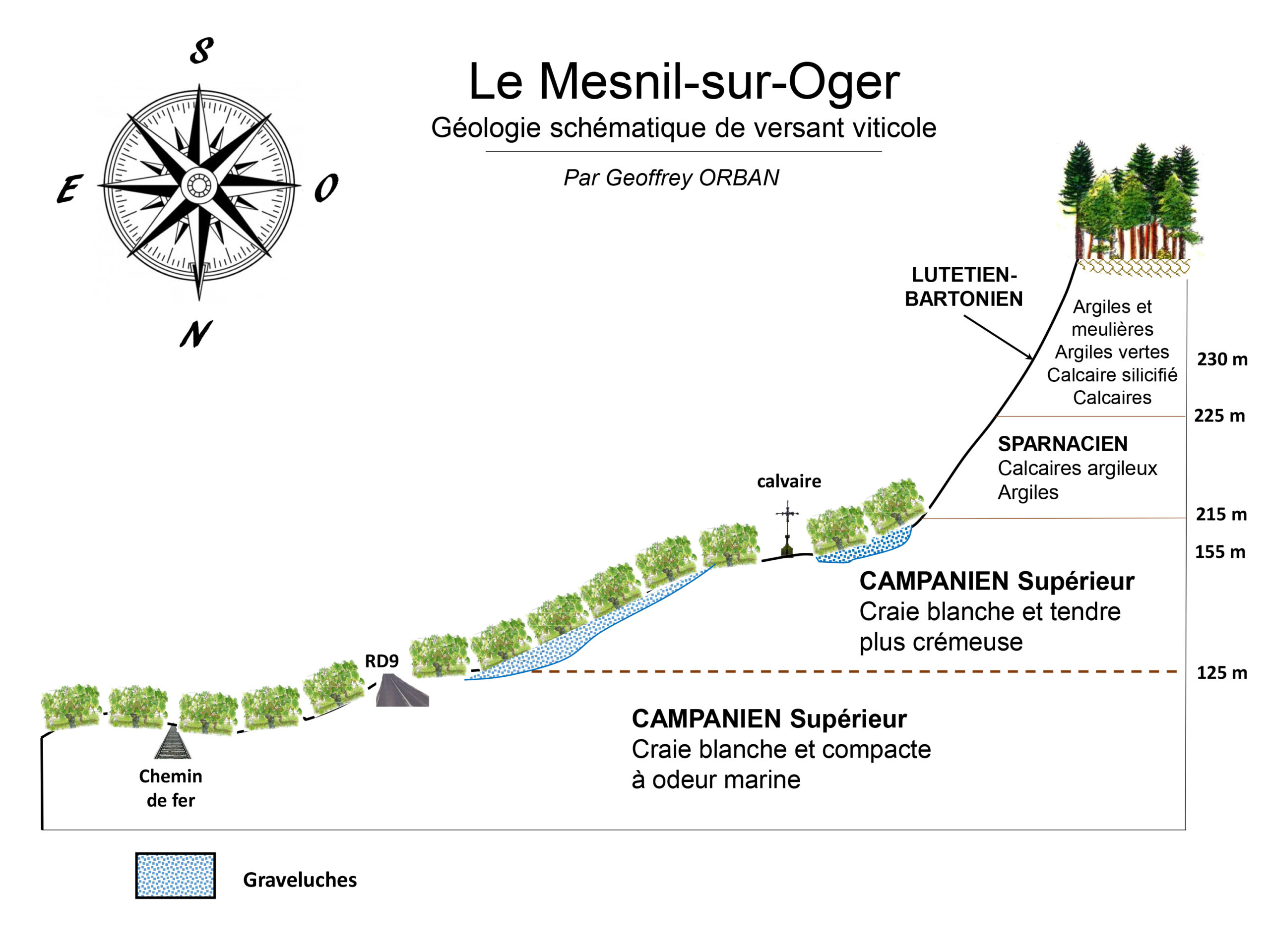 Le Mesnil-sur-Oger, domaine paysan devenu Or blanc