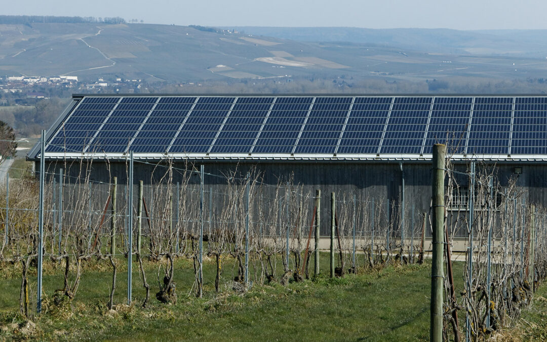 Cinq questions pour lancer son projet photovoltaïque