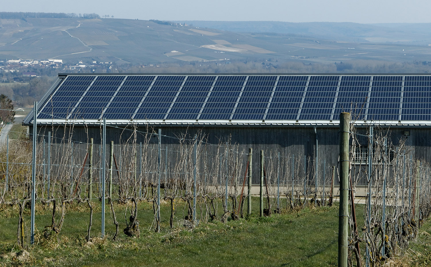 Cinq questions pour lancer son projet photovoltaïque