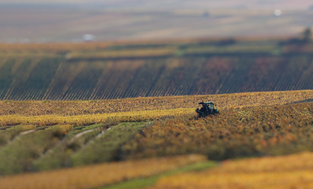 La Champagne en manque de main-d’œuvre