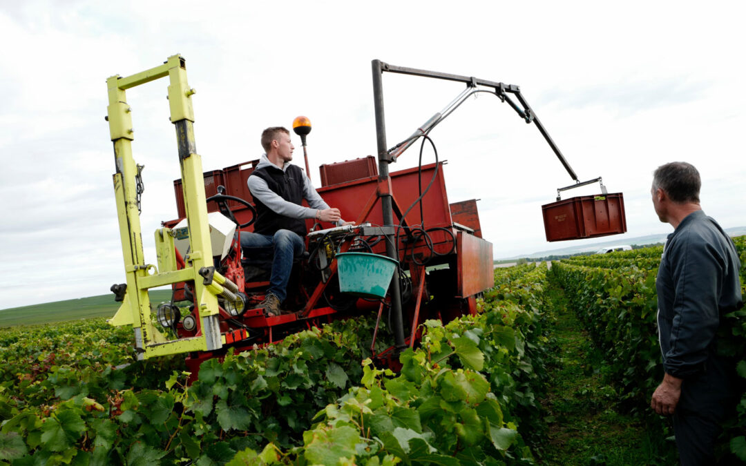 Les propositions du SGV pour faciliter l’emploi de main-d’œuvre en Champagne