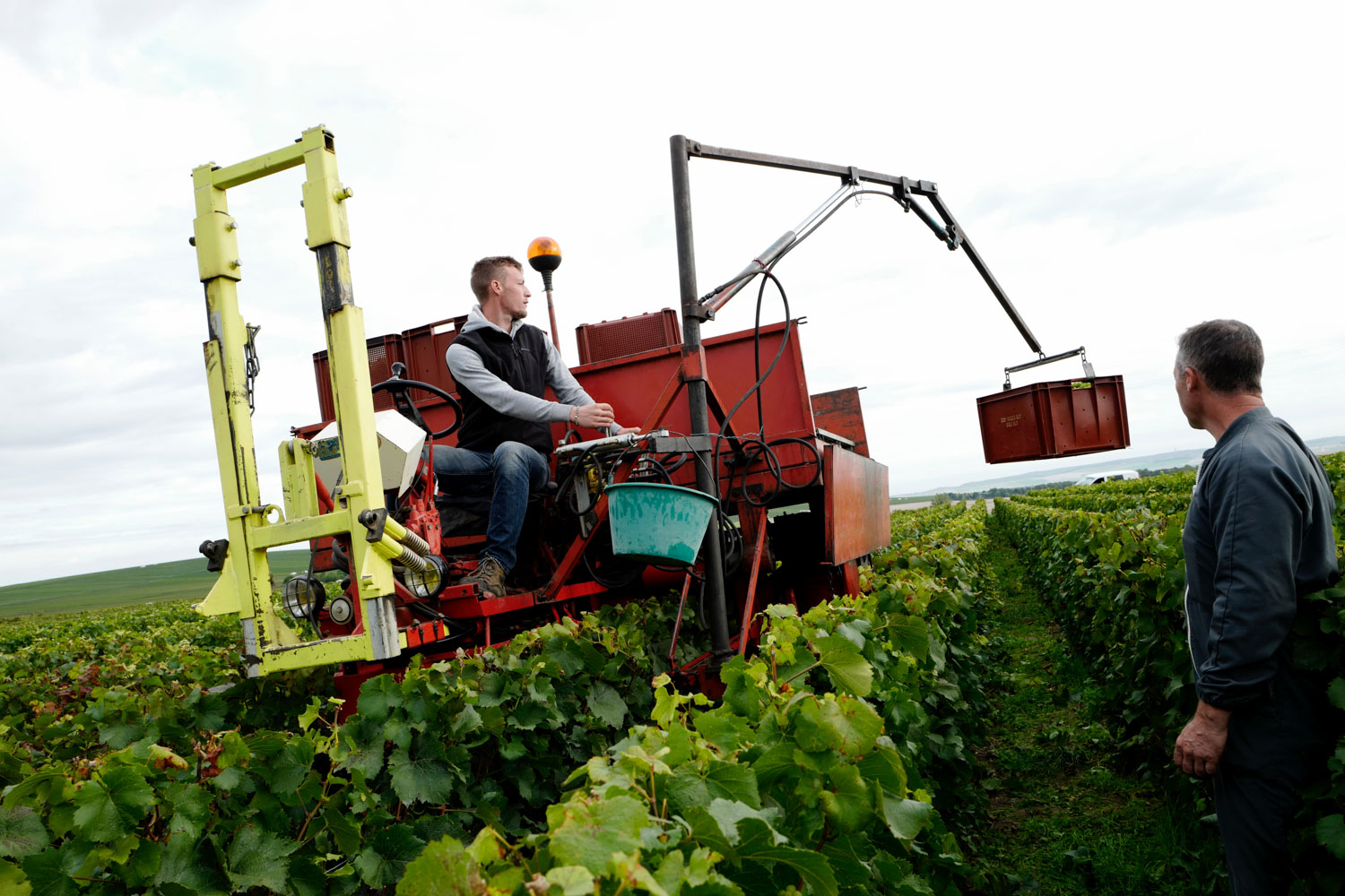 Les propositions du SGV pour faciliter l’emploi de main-d’œuvre en Champagne