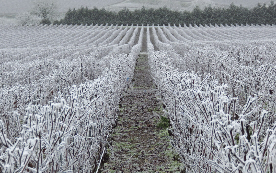 Gérer les intempéries