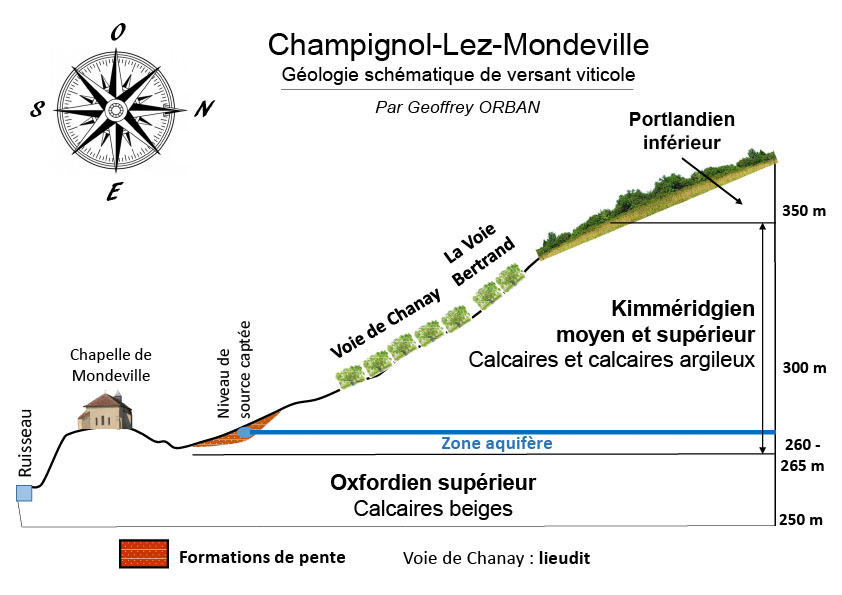 Champignol-lez-Mondeville, un mont de vignes culminant