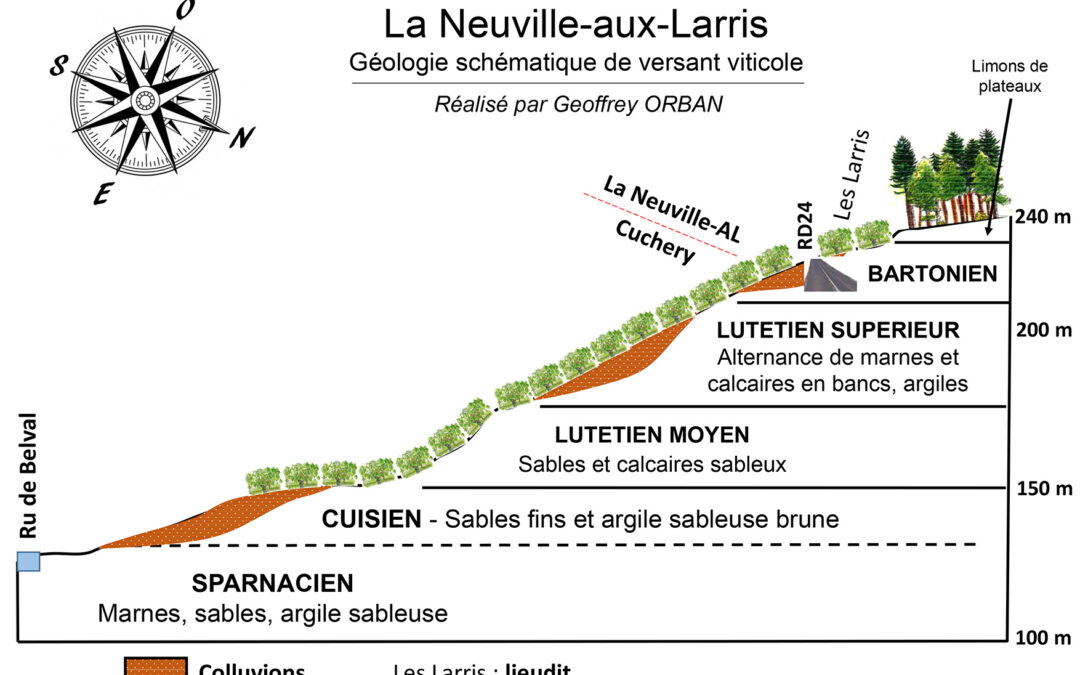 La Neuville-aux-Larris, un balcon paisible sur la belle vallée