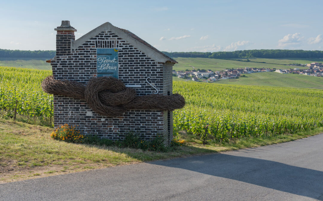 Le festival Vign’Art signe son retour dans les vignes en 2023