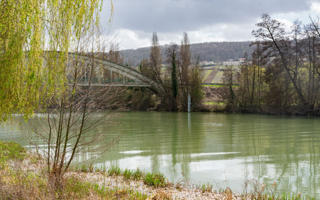 Des aides du Grand Est pour la qualité de l’eau  