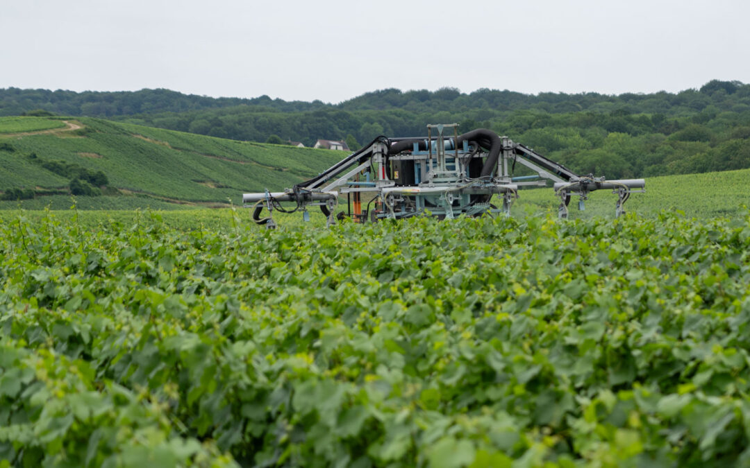 Report probable du Conseil Stratégique Phytosanitiaire