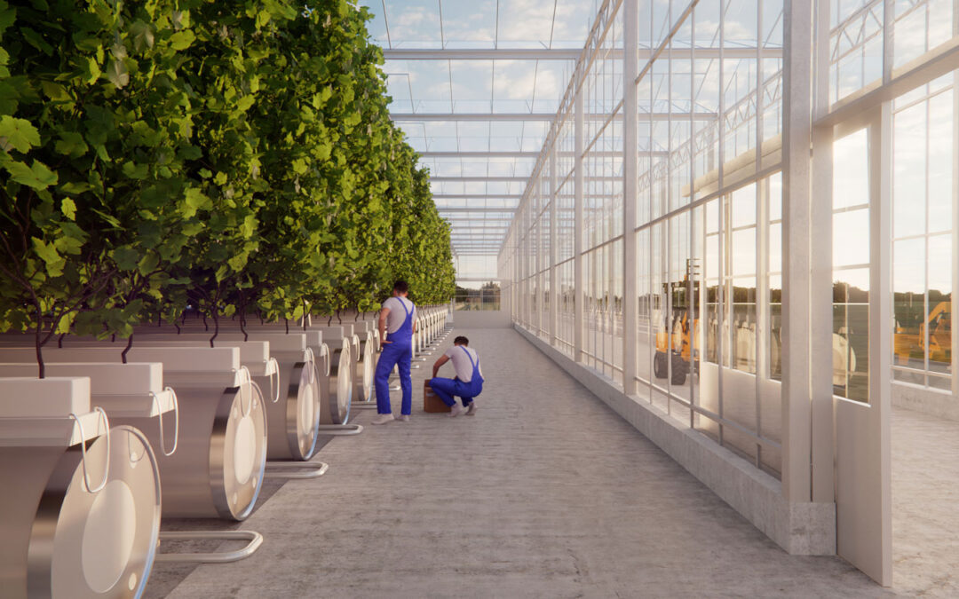 Sécuriser les plants grâce à QANOPÉE