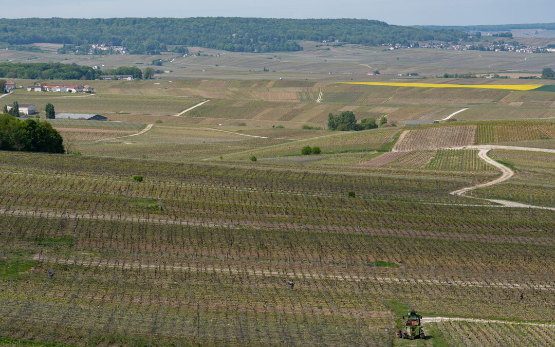 2024, année de transition HVE