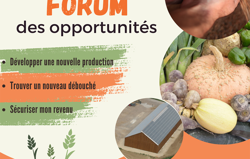 Forum des opportunités le 23 novembre à Fagnières