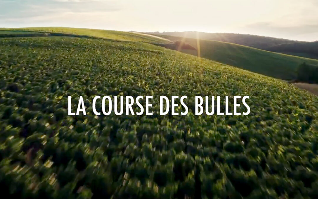 « La course des bulles » : la poétique musicale du métier de vigneron s’illustre en vidéo