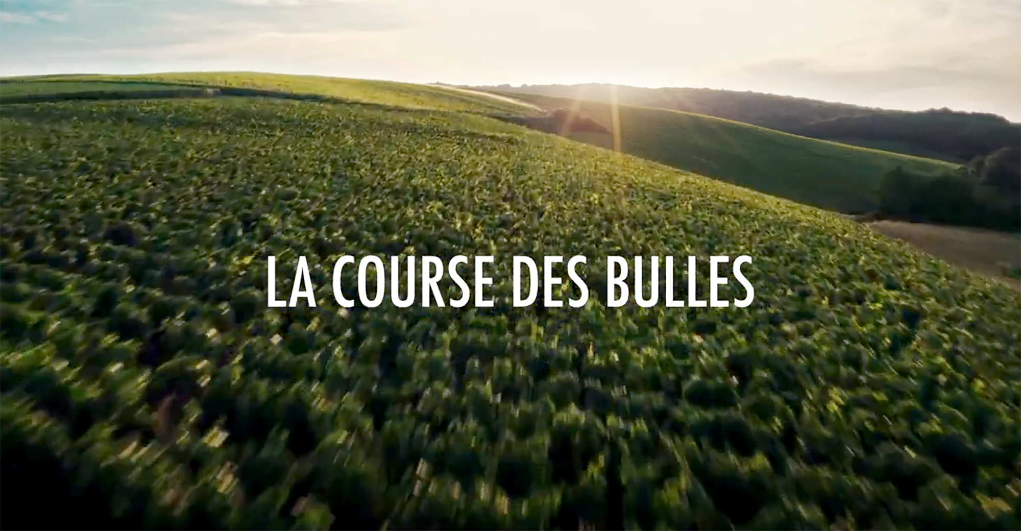 « La course des bulles » : la poétique musicale du métier de vigneron s’illustre en vidéo