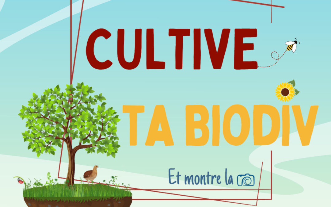 “Cultive ta biodiv” : un nouveau concours pour valoriser les pratiques viticoles