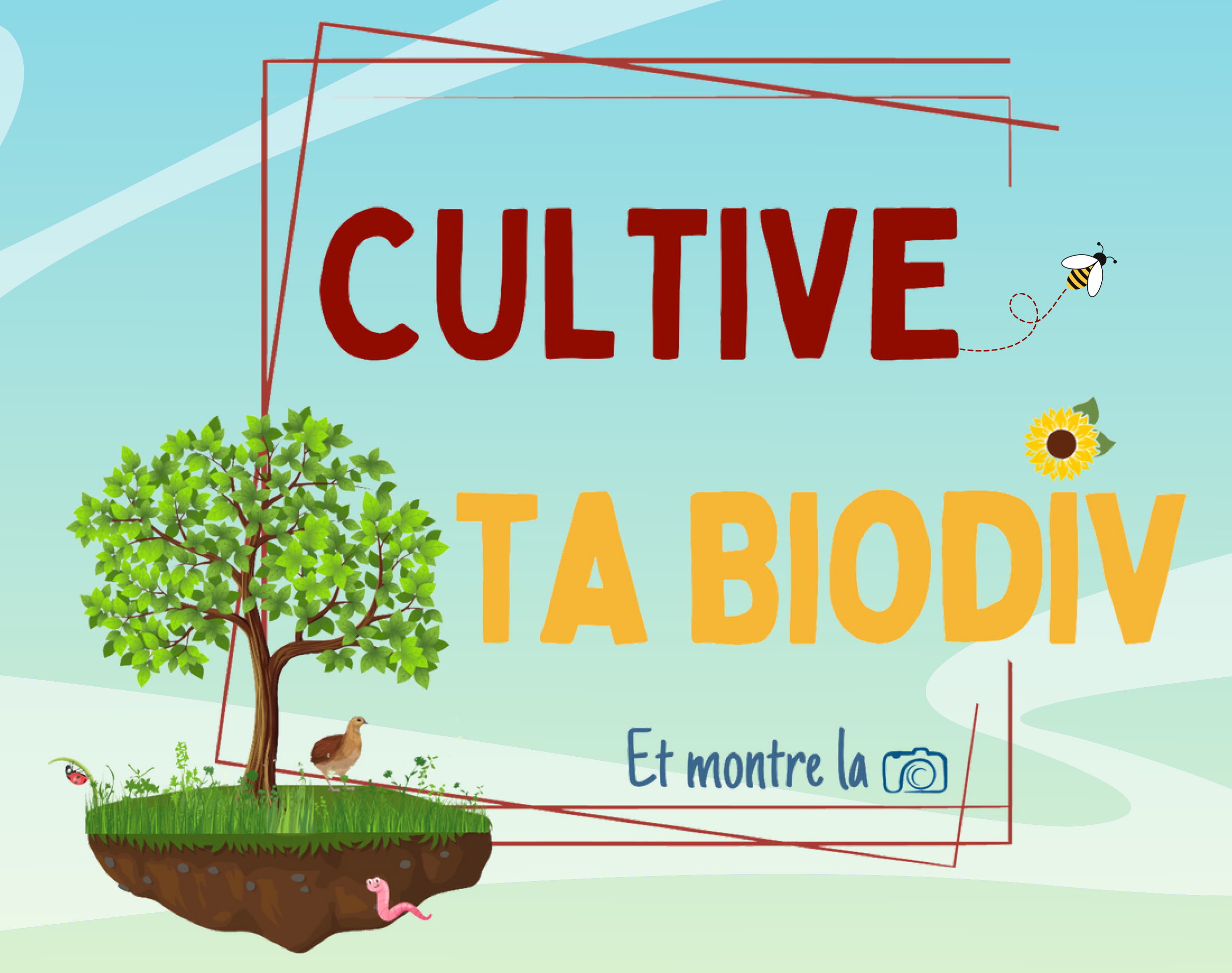 “Cultive ta biodiv” : un nouveau concours pour valoriser les pratiques viticoles
