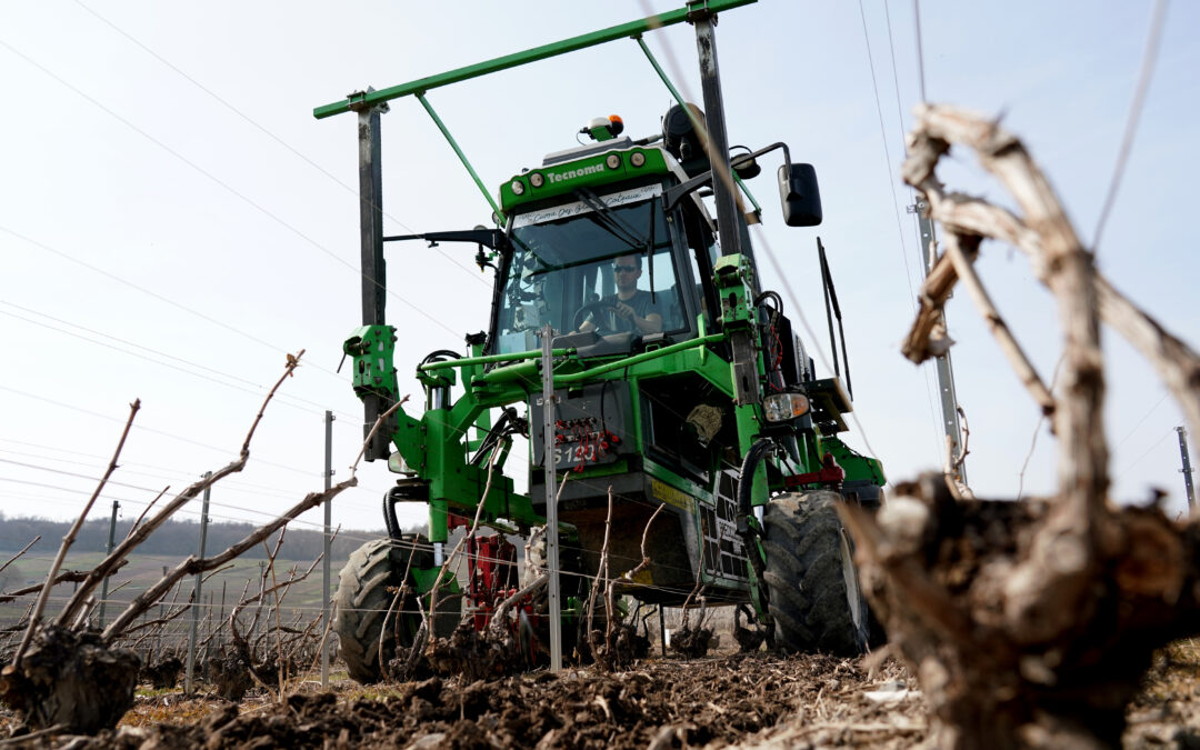 Des mesures pour calmer la colère agricole