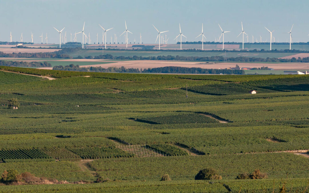 Des moyens et des acteurs de premier plan sur le terrain pour protéger nos terroirs