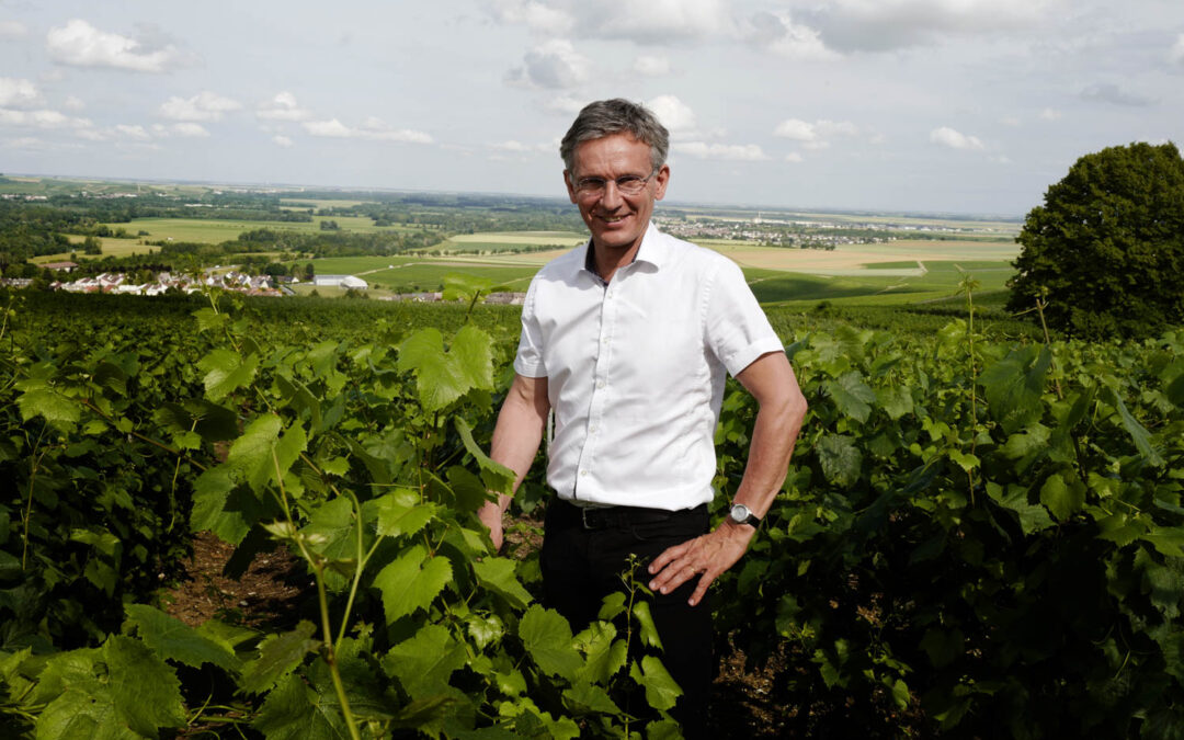 Laurent Panigai, passion champagne de la vigne au vin