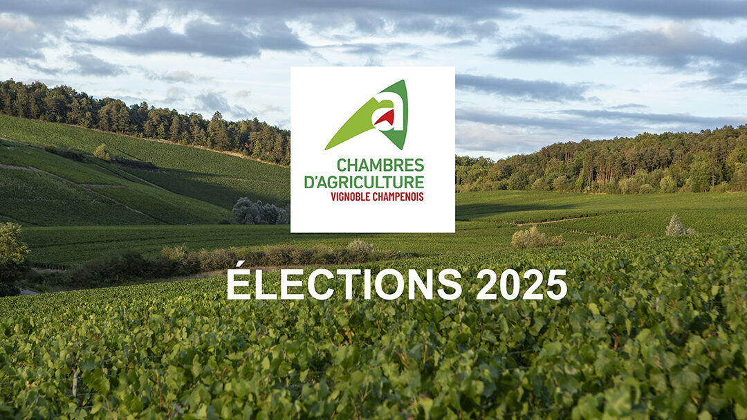 Chambres d’agriculture – Élections en 2025 : mode d’emploi