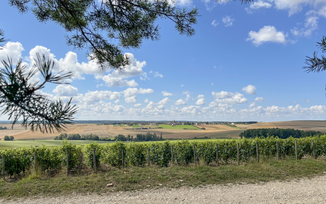 Channes : un festival d’initiatives pour dynamiser la plus méridionale des communes champenoises