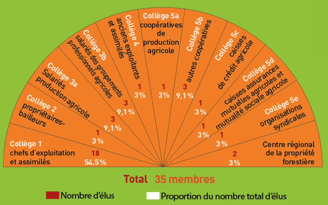 Chambres d’agriculture : quels enjeux pour ces élections ?