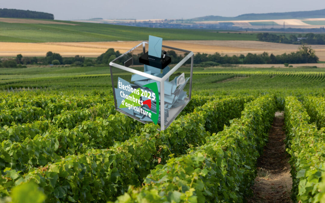 Du 15 au 31 janvier : je vote pour l’agriculture !