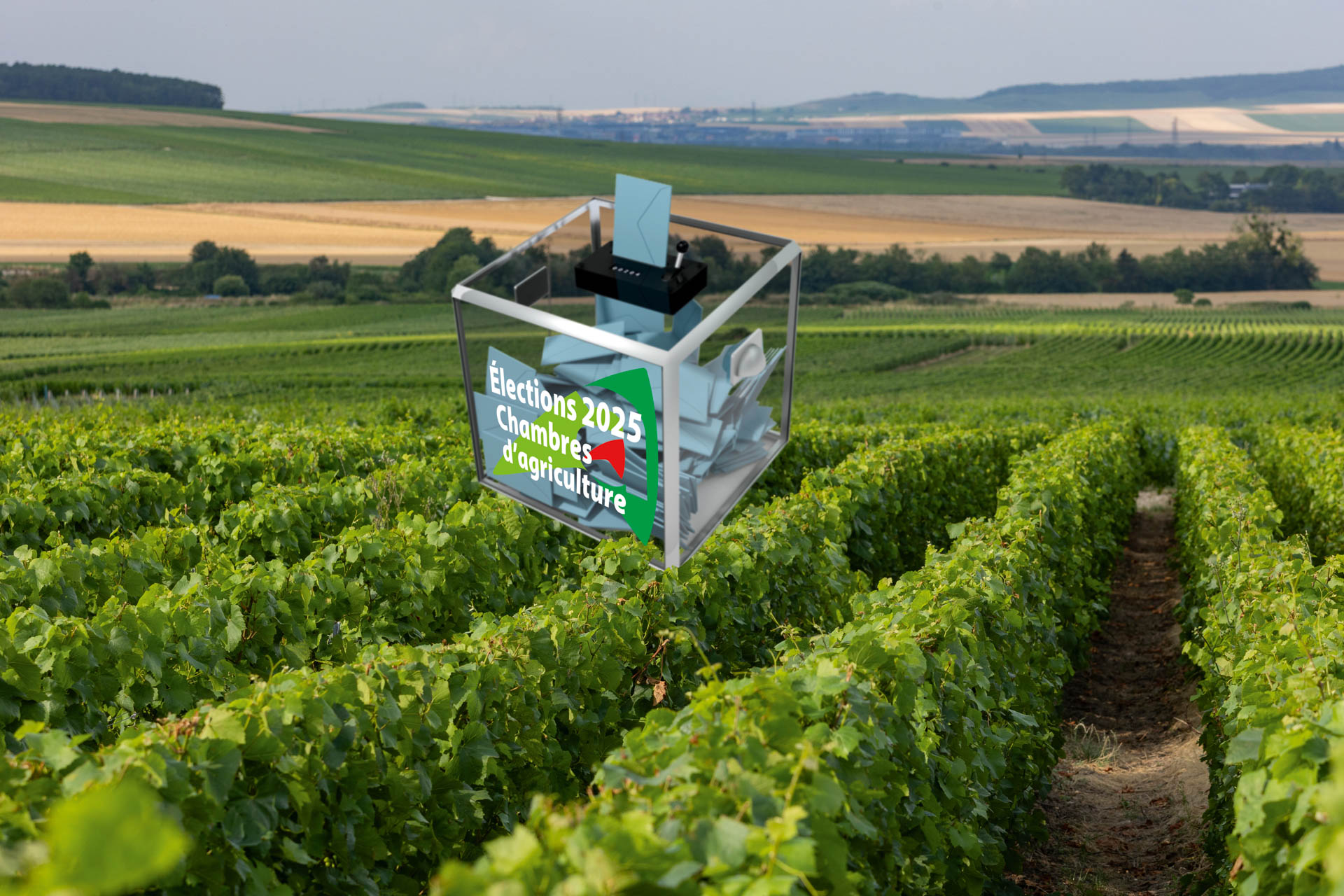 Du 15 au 31 janvier : je vote pour l’agriculture !