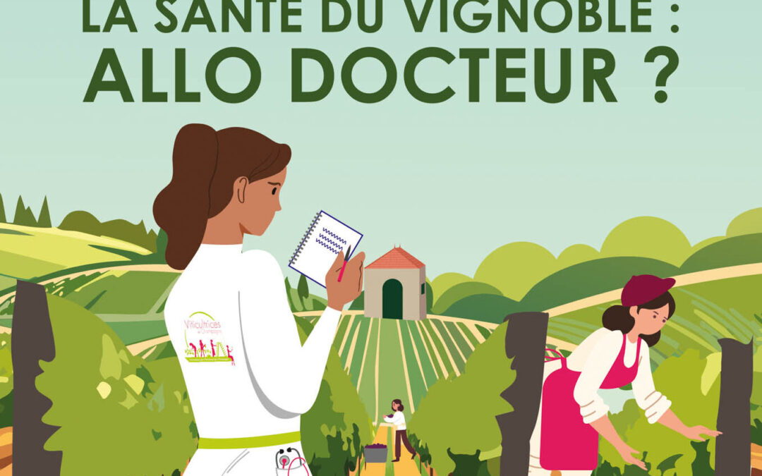 Quand la Commission des Viticultrices prend le pouls du vignoble