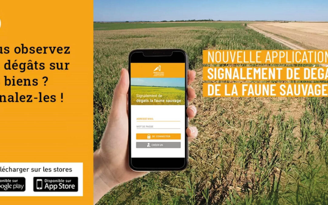 Viticulteurs, signalez les dégâts de la faune sauvage