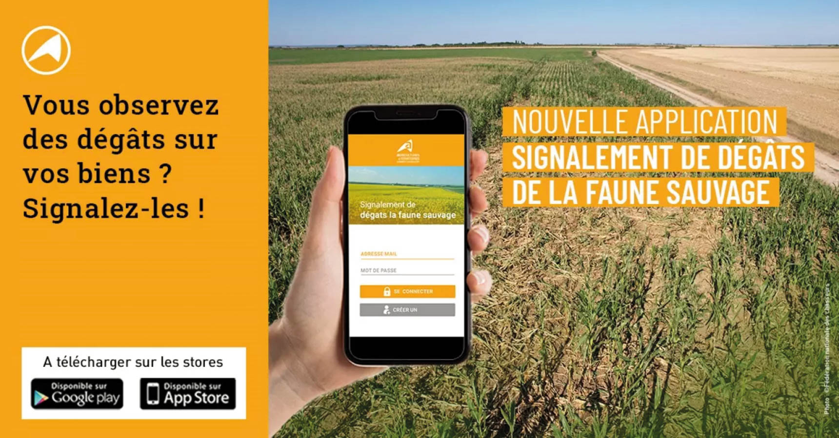 Viticulteurs, signalez les dégâts de la faune sauvage