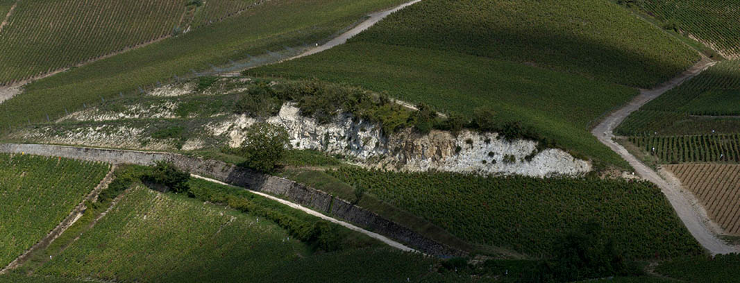 Une mer nourricière : le socle géologique des terroirs champenois