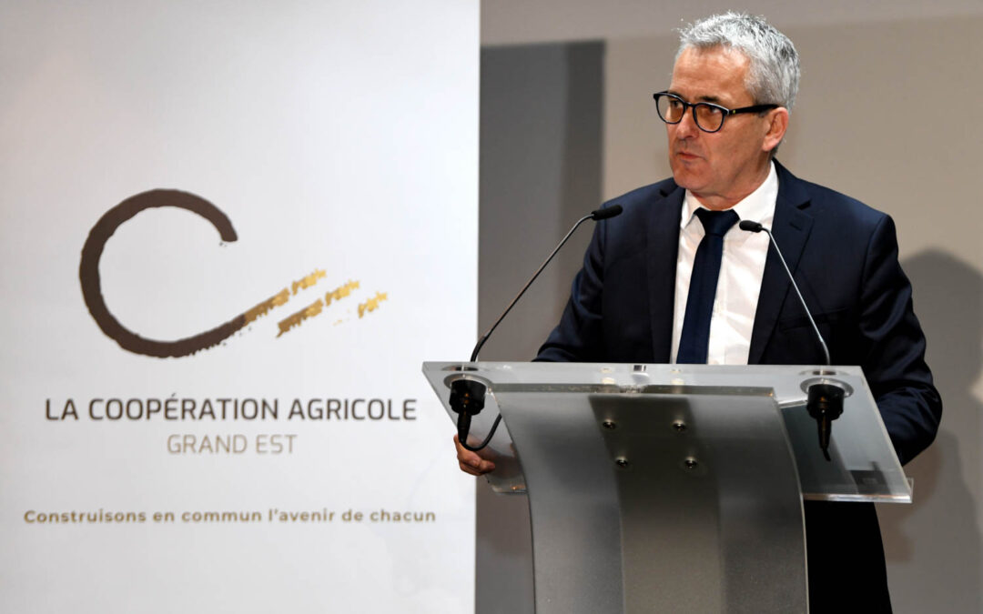 La coopération : levier essentiel pour l’avenir de la filière champenoise