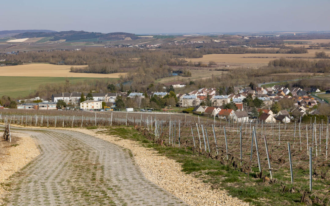 Le Comité Champagne ouvre un nouvel appel à projets