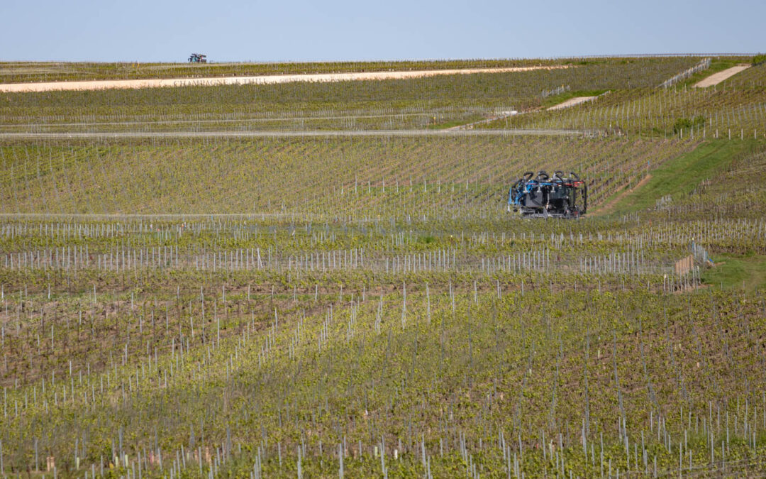 Protection du vignoble : « C’est par l’entraide que nous pourrons tenir le cap »