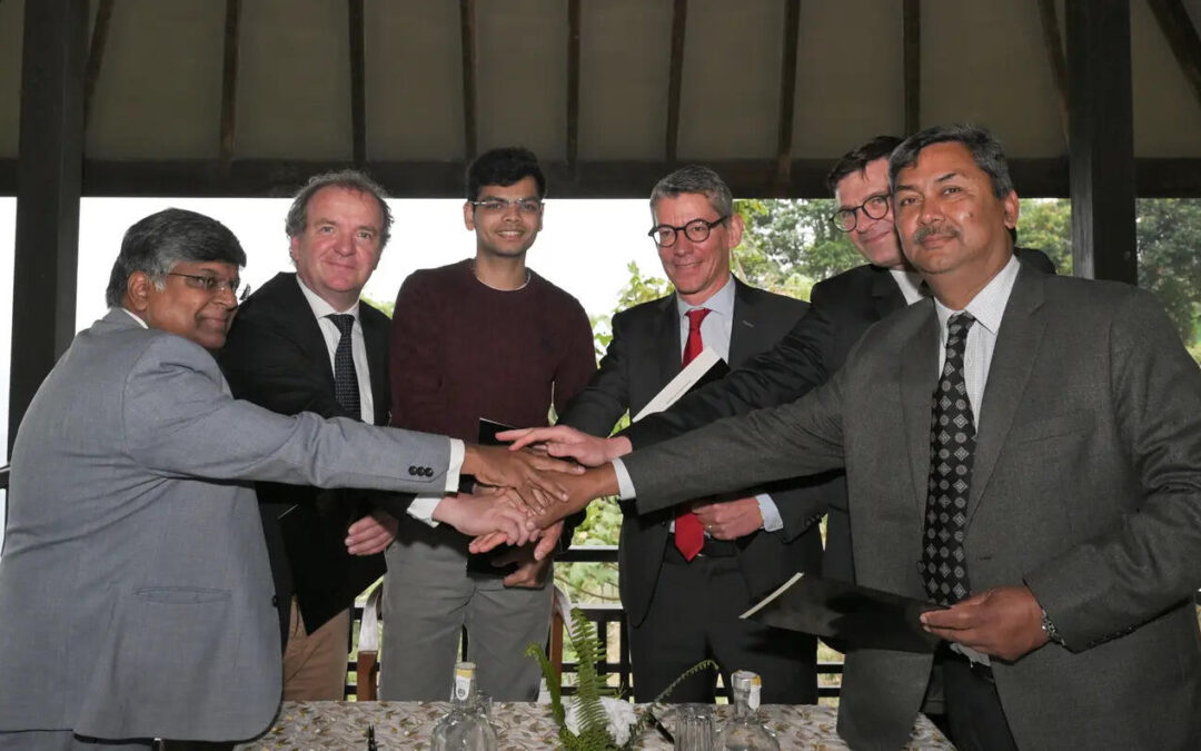 Expéditions de champagne : un bilan 2025 entre stabilisation et incertitudes